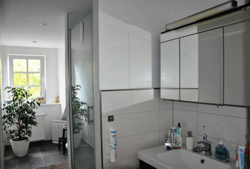 Wunderschoene Loft-Stadtwohnung Вюрцбург Екстериор снимка